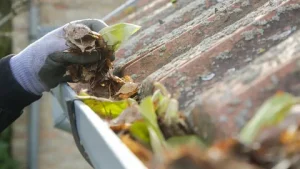 Top 5 Reasons to Get Your Gutters Cleaned Before Rainy Season